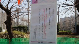 桜花期の注意掲示