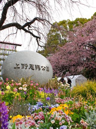春一色の上野公園入口