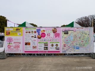 明日から開催、うえの桜フェスタ