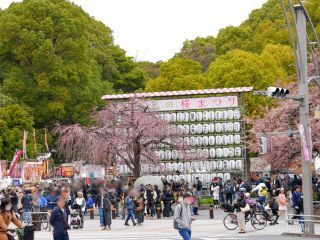 公園入口は多くの観光客でにぎわっています