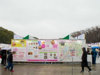 うえの桜フェスタ、絶賛開催中