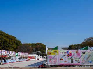 桜フェスタは10時から開催
