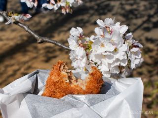 花よりメンチカツ(肉の大山さん)