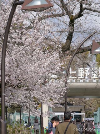 小松乙女、動物園に行く前にぜひ