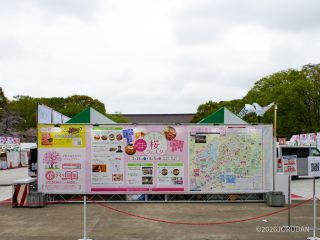 会期はいよいよ終盤です