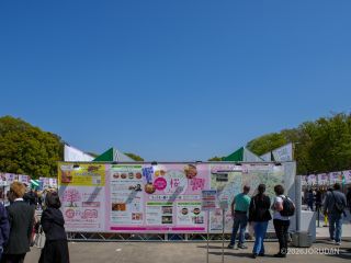 うえの桜フェスタは日曜日まで！①