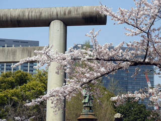 大村銅像と桜