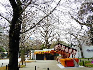 桜と屋台