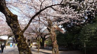 啓照館前の様子