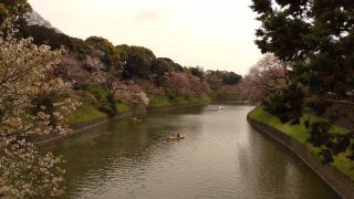 千鳥ヶ淵緑道 4/7①