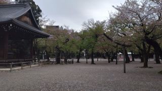4月6日境内の桜①
