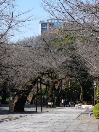 神池庭園に続く道