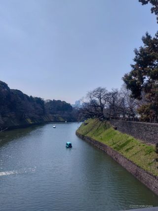 千鳥ヶ淵の様子 3月21日