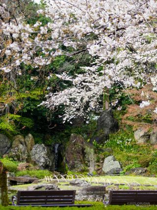 和の風景をお楽しみください
