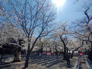 境内の様子②
