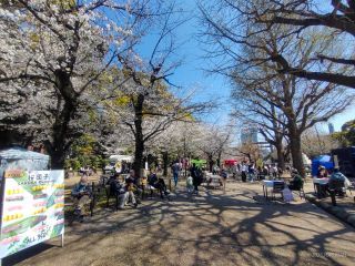 外苑テラスでグルメと桜を楽しもう