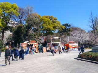 キッチンカーが並んでいます