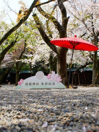 来訪の記念にぜひフォトスポットで一枚