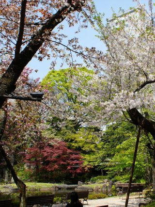 境内の様子②