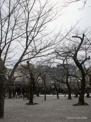 境内の様子 3月13日