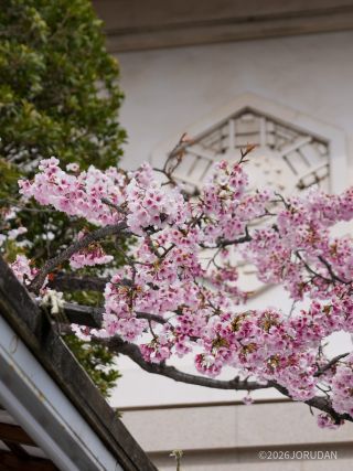靖国会館前 3月13日
