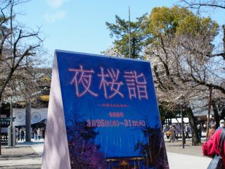 夜の内苑をお楽しみください