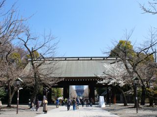 内苑の様子 3月24日