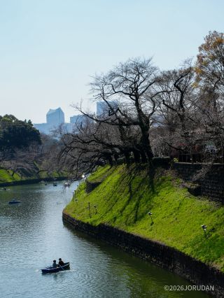千鳥ヶ淵緑道 3月24日