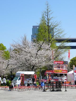 キッチンカーでゆったりお花見