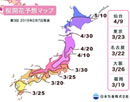 【桜開花予想2019】ソメイヨシノ 東京は3月23日ごろ開花と予想。(2月7日発表）