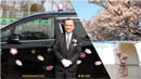 都内の桜名所を満喫できる観光タクシー「お花見タクシー」が期間限定で運行！