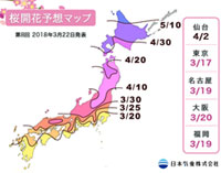 【桜開花予想2018】高知ではすでに満開！開花は全国的に例年より早いペースに（3月22日発表）