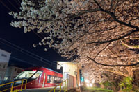 富士急行線「桜キャンペーン2018」夜桜電車やおトクなきっぷ情報