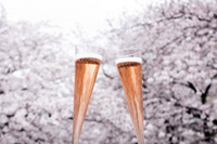 目黒川のお花見はスパークリングワインを一杯。中目黒「MARZAC 7」とCHANDONがコラボレーション