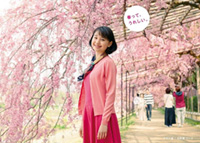 京阪沿線の桜が見頃シーズンに!鴨川河川敷、岡崎公園・琵琶湖疏水は5分咲、八瀬でも咲き始めました(2018年3月27日時点)