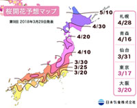 【桜開花予想2018】各地で満開見頃のお花見日和！全国桜開花・満開情報（3月29日発表）