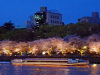 大川沿いの夜桜を楽しむ「お花見ナイトクルーズ2019」運航決定!