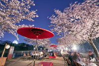 桜の名所でBBQを満喫！大阪城 和ーべきゅう2019年3月30日～6月2日限定オープン！