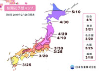【桜開花予想2019】この先1ヶ月は平年より高めの気温が予想され、ソメイヨシノ開花時期は先週の予想よりやや早まる(2月28日発表）