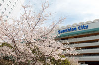豊島区発祥の桜・ソメイヨシノや春の花々をサンシャインシティで楽しもう！『ひまつぶしピクニック』2019開催