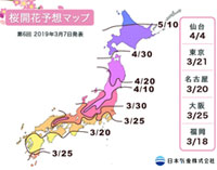 【桜開花予想2019】全国的に平年より早い開花が見込まれ、特に山陰地方では10日ほど早い予想に(3月7日発表）