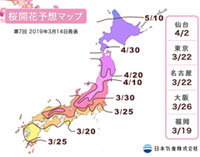 【桜開花予想2019】東京は平年より4日早い3月22日開花予想。早いところで来週から開花がスタートか？（3月14日発表）