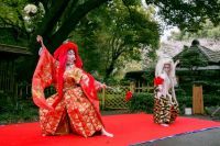 ホテルニューオータニ（東京）のお庭で桜祭り!日本の伝統文化を楽しむ『紀尾井町桜まつり』開催