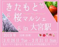 石戸蒲ザクラなどの埼玉・北本市内の桜も紹介！きたもと桜マルシェin大宮駅 開催