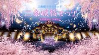 『二条城×ネイキッド 世界遺産登録25周年記念 二条城桜まつり2019』開催！