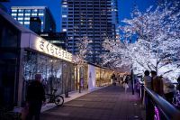 五反田ふれあい水辺広場 桜ライトアップや、「しながわ運河まつり2019」など桜イベント満載の「しながわフェスウィーク2019」開催