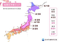【桜開花予想2019】開花前線は東北地方を北上中、北陸や東北南部では満開見頃を迎えています（4月11日発表）