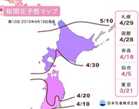 【桜開花予想2019】開花前線は東北地方北部に到達！長野県や能登半島、東北地方南部で満開見頃を迎えています（4月18日発表）