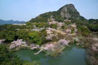 一度は行きたい桜の名所【佐賀県武雄市】水面に映る九州最大級のライトアップは必見！