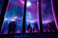 【横浜・八景島シーパラダイス】シーパラならではのお花見体験を。「はるパラ！」【2020年3月7日（土）～4月5日（日）】